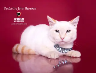 DETECTIVE JOHN BURROWS