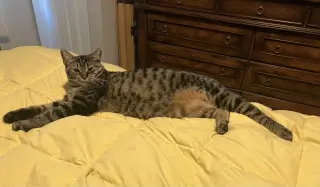 Timmy