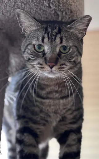 Timmy