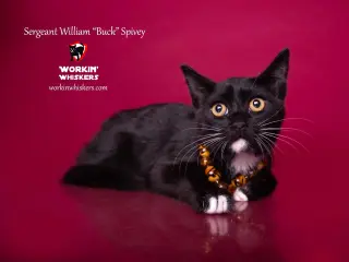 SERGEANT WILLIAM "BUCK" SPIVEY