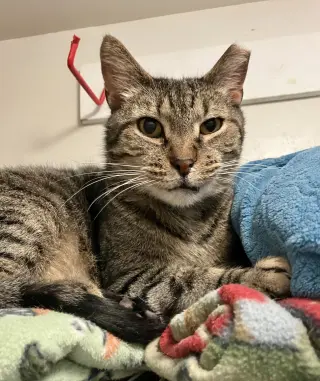 Ricky