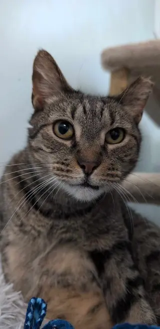 Ricky