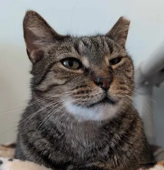 Ricky