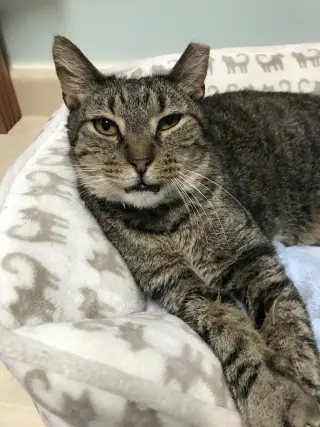 Ricky