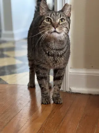 Ricky