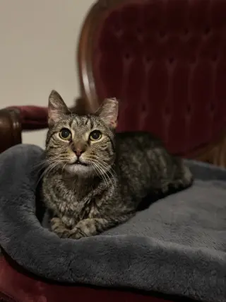 Ricky