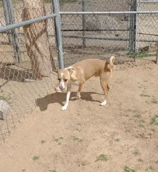 Milo