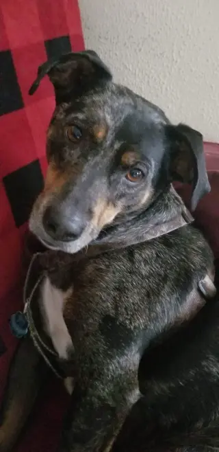 MAX (COURTESY POST)