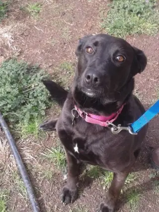 Thelma