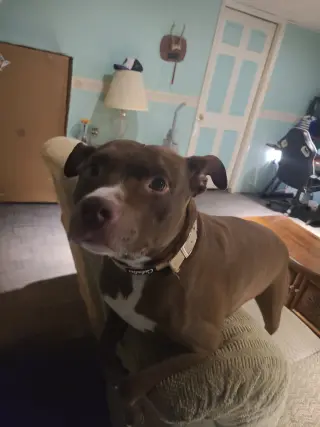 ZEKE (COURTESY POST)