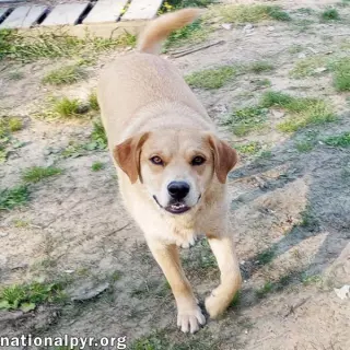Tuff in LA - Gives Sweet Kisses!