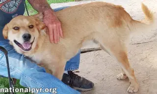Tuff in LA - Gives Sweet Kisses!
