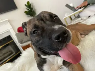 Kobe