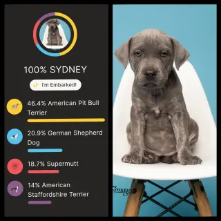 Sydney - F