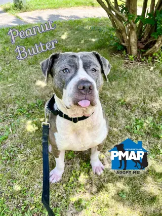 Peanut Butter