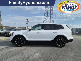 Kia Telluride 2024 AWD SX 4dr SUV