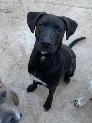 Jack Jack