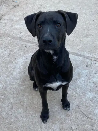 Jack Jack