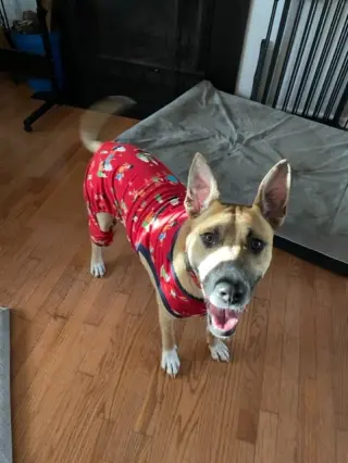 Murphy 2