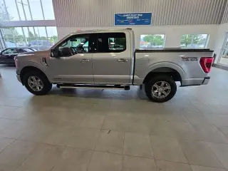 Ford F-150 2023 4x4 XLT 4dr SuperCrew 6.5 ft. SB