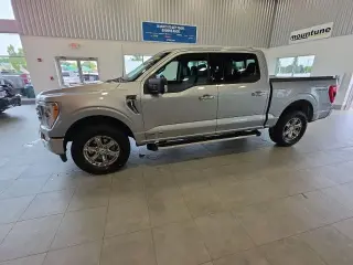 Ford F-150 2023 4x4 XLT 4dr SuperCrew 6.5 ft. SB