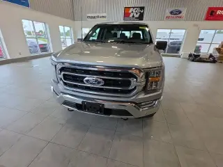 Ford F-150 2023 4x4 XLT 4dr SuperCrew 6.5 ft. SB