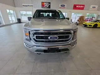 Ford F-150 2023 4x4 XLT 4dr SuperCrew 6.5 ft. SB