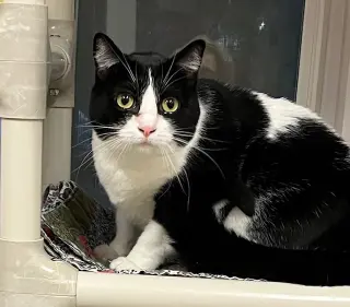 Luna