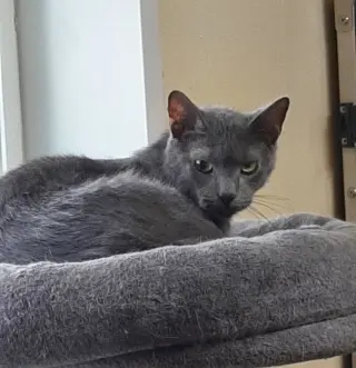 Jim
