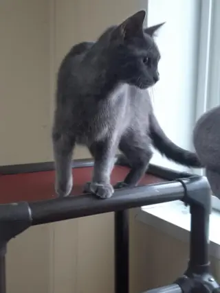 Jim