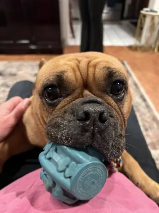 Honey