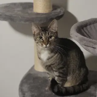 Mary (bonded to Clover)