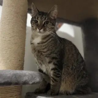 Mary (bonded to Clover)