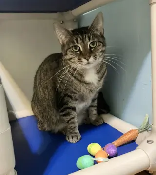 Mary (bonded to Clover)