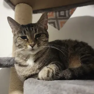 Mary (bonded to Clover)