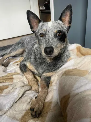 Leroy