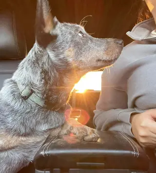 Leroy