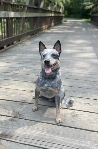 Leroy