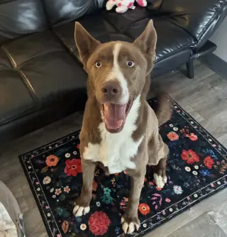 Juno