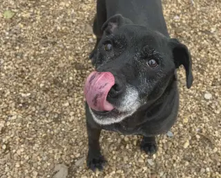 Cosmo