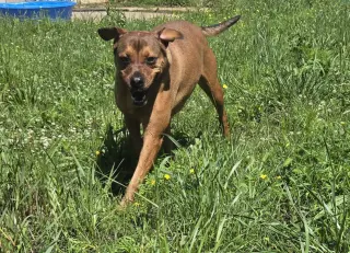 Charlie