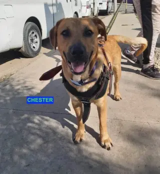 CHESTER