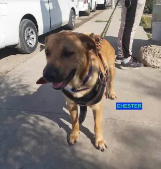 CHESTER