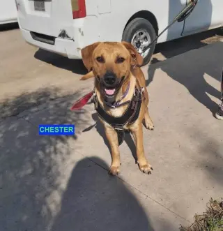 CHESTER