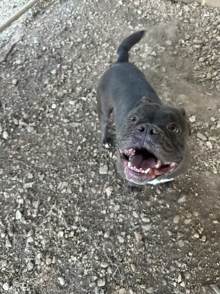 Flo
