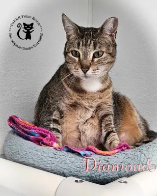 Diamond