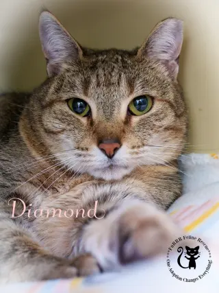 Diamond