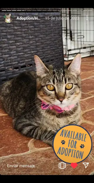 Mia