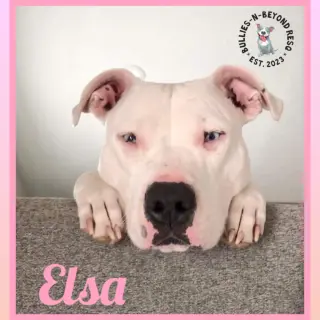 Elsa