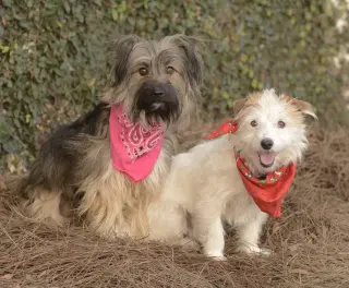 Ella and Shelby